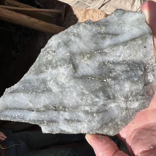 Coruja laminated quartzve in insericite-chlorite altered greenstone