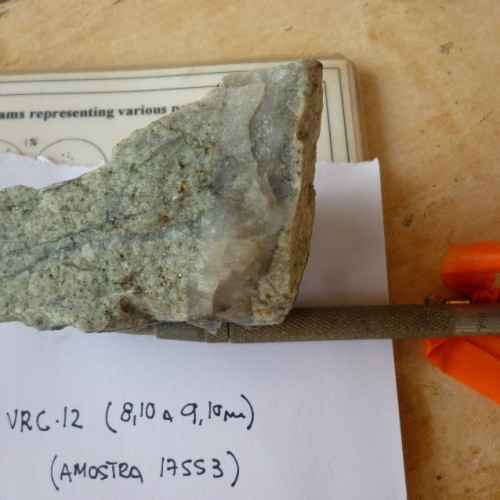 Quartz vein with pyrite and arsenopyrite (2.9 g/t Au), 2013. 